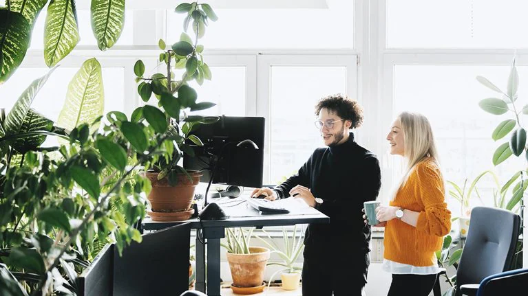 Sustainability Manager MCK